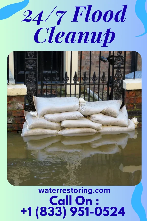 24/7 Flood Cleanup in Omao, HI