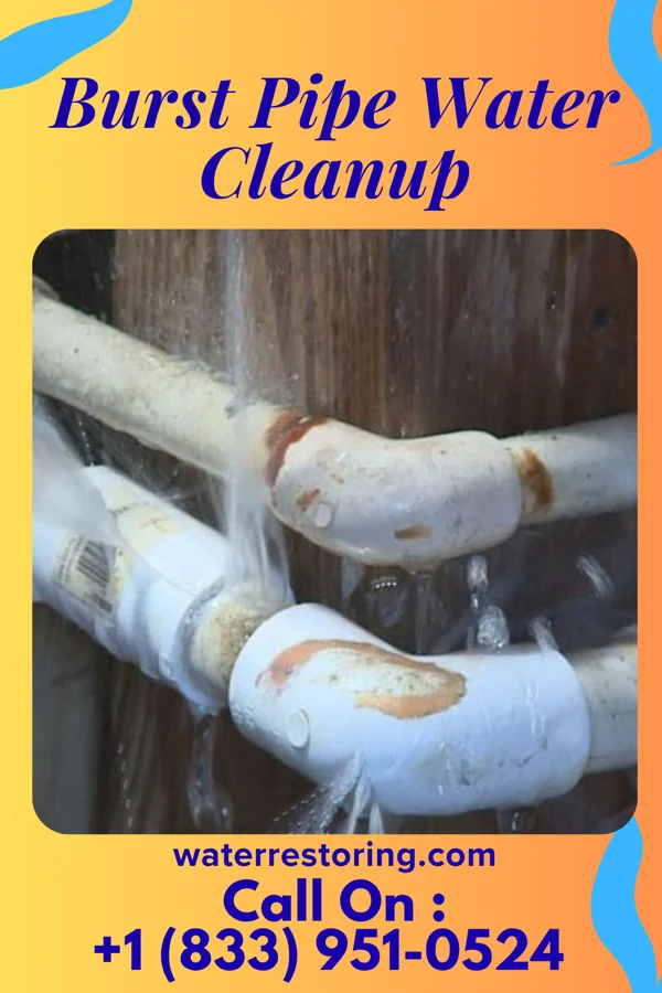 Burst Pipe Water Cleanup in Omao, HI