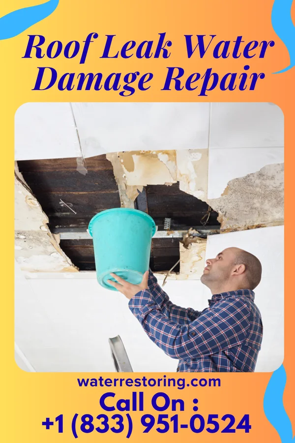 Roof Leak Water Damage Repair in Omao, HI