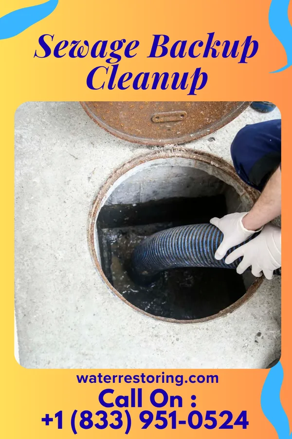 Sewage Backup Cleanup in Omao, HI