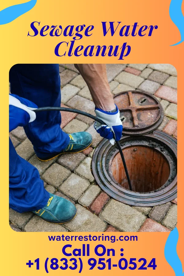 Sewage Water Cleanup in Omao, HI