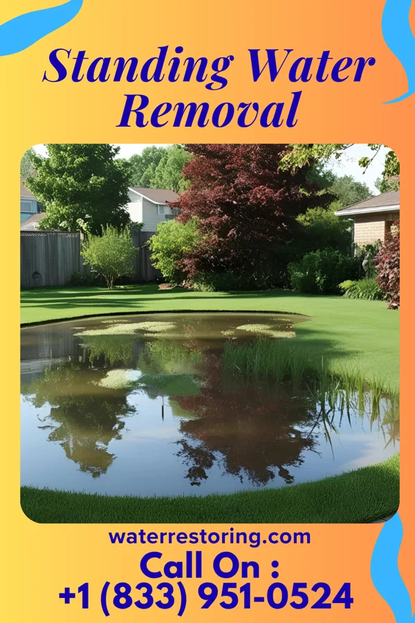 Standing Water Removal in Omao, HI